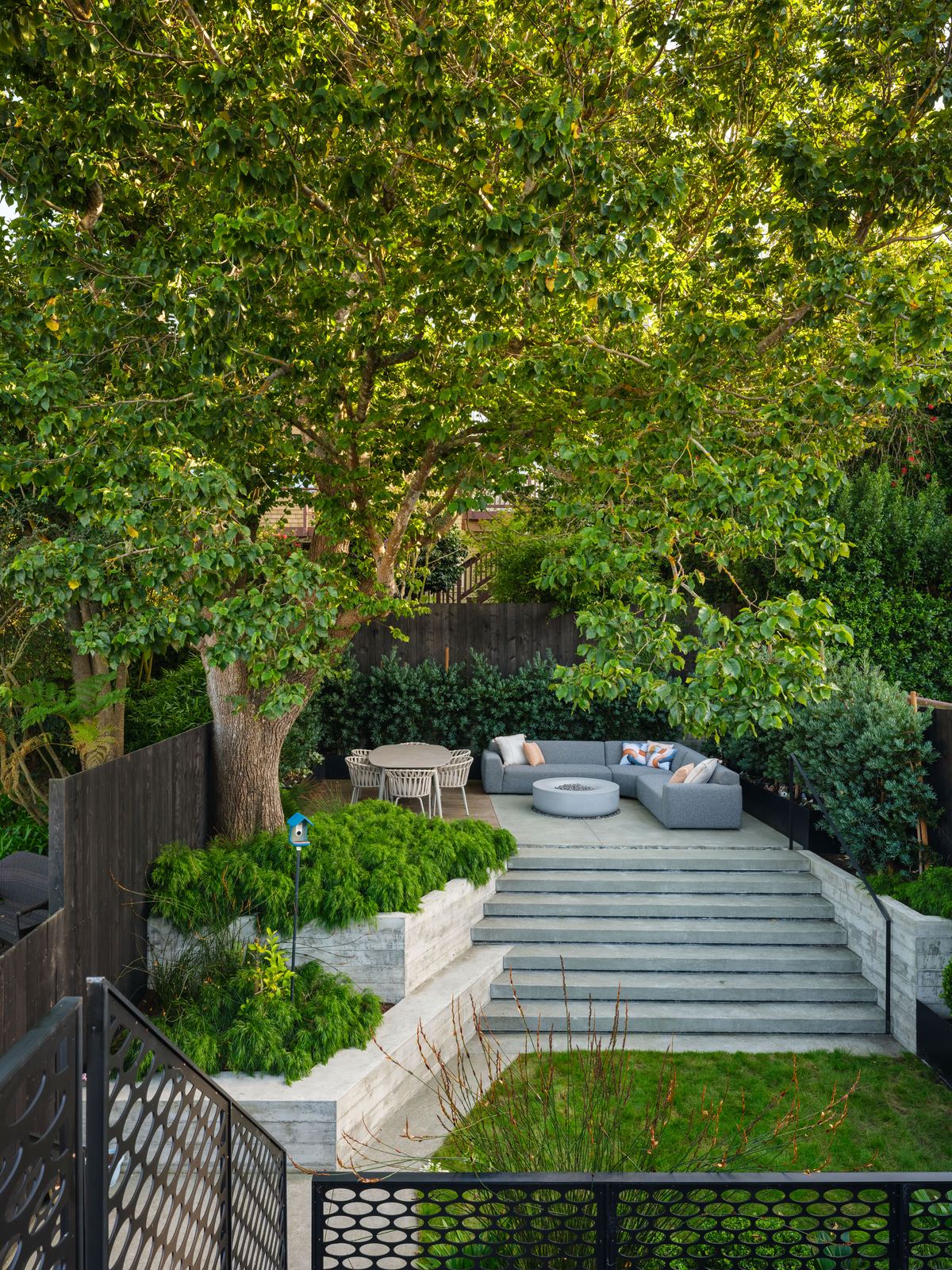 Terraced garden and mature tree